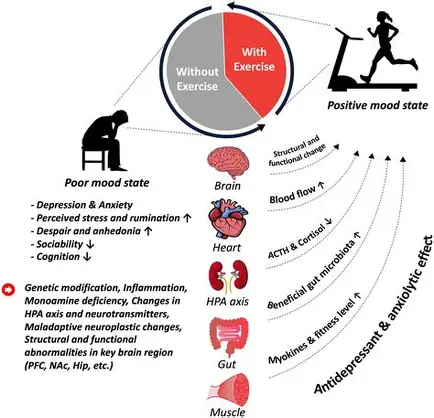Exercise as an Evidence-Based Treatment for Depression: Insights from a 2021 Meta-Analysis