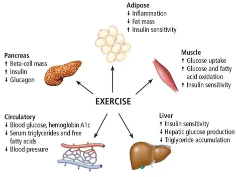 Exercise as First-Line Therapy for Type 2 Diabetes: Evidence and Implementation