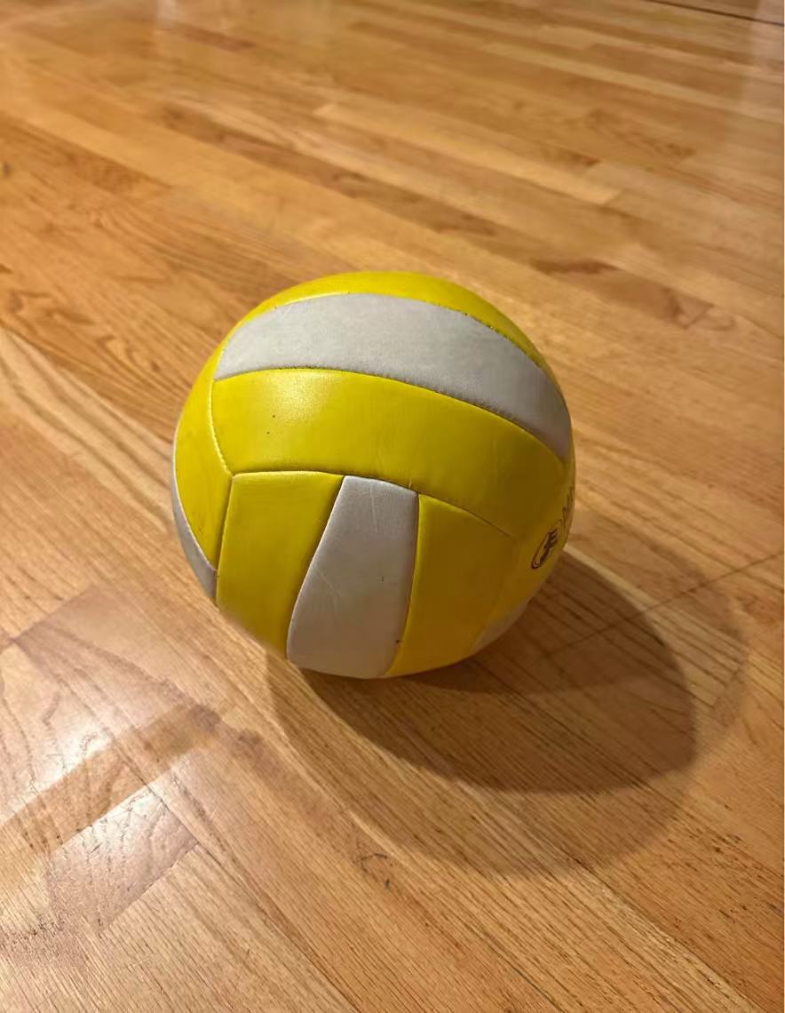 Indoor volleyball pro ball park and sun sports. High quality.