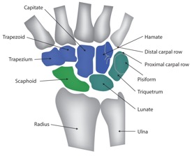 How to Protect Your Wrist Like a Pro: A Volleyball Player’s Hard-Earned Lesson